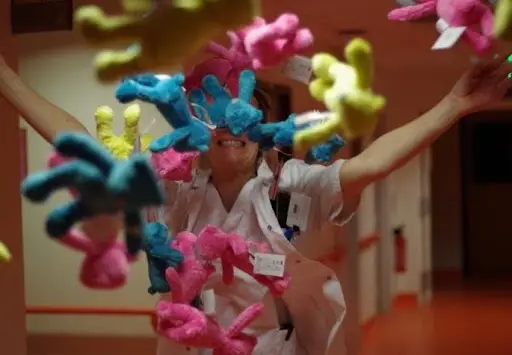 photo d'une collecte